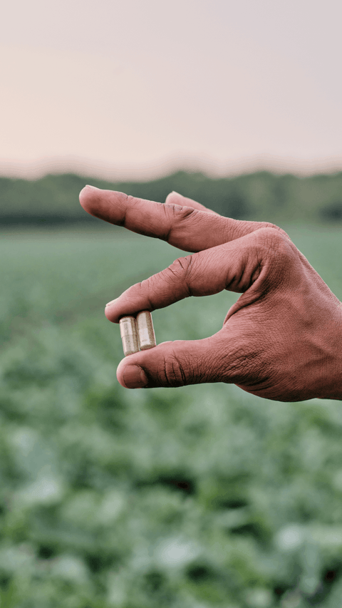 Farm to Capsule: How is Juice Plus+ Made?