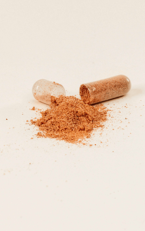 Plant-Powered Powders